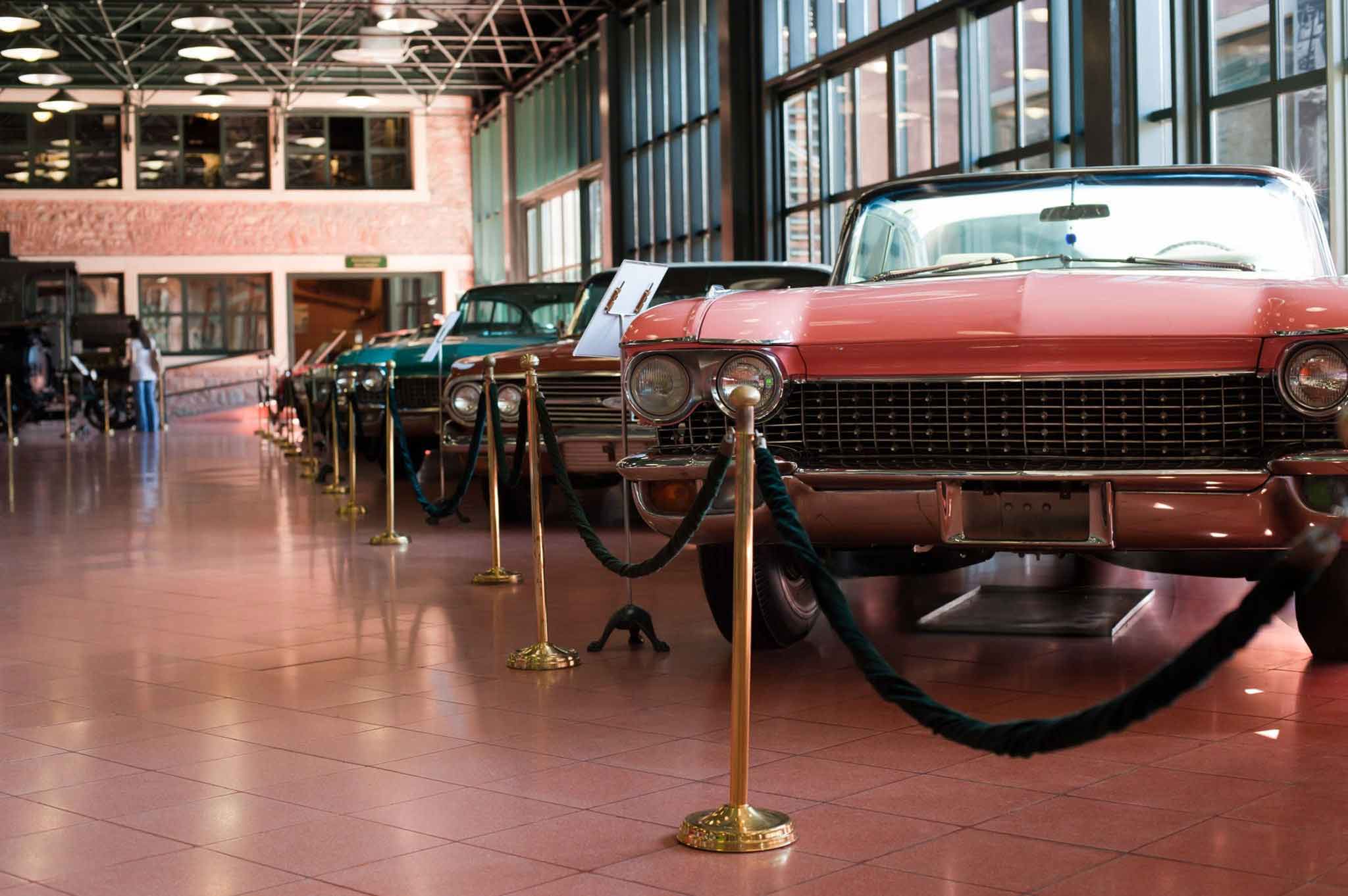 wmremove-transformed-(50)